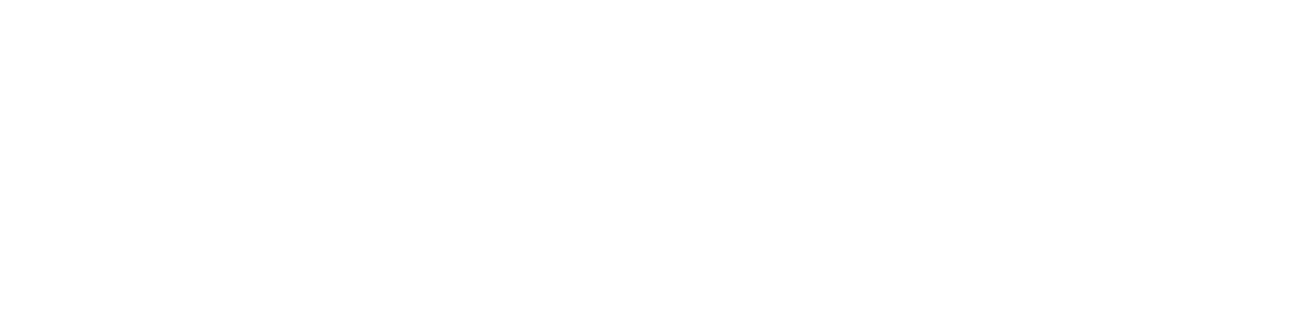 IBSeguros